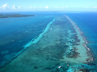 10 million steps - Belize Barrier Reef